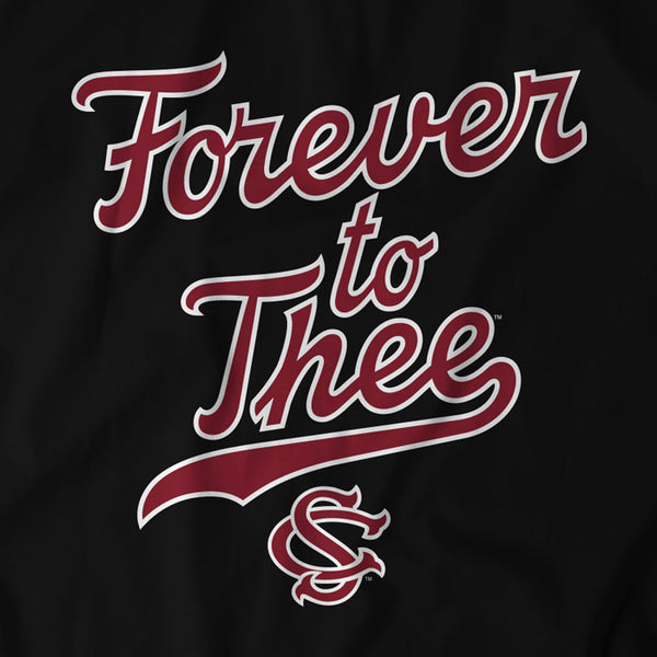 South Carolina Baseball: Forever To Thee