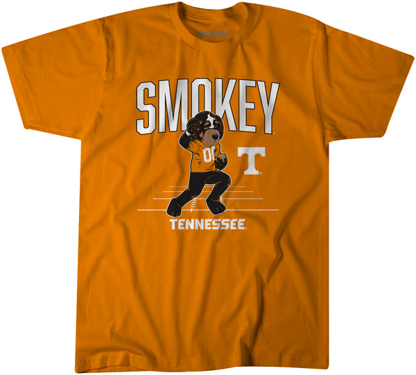 Tennessee Vols Football: Smokey Mascot