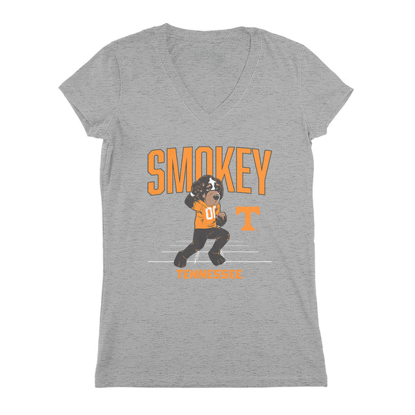 Tennessee Vols Football: Smokey Mascot