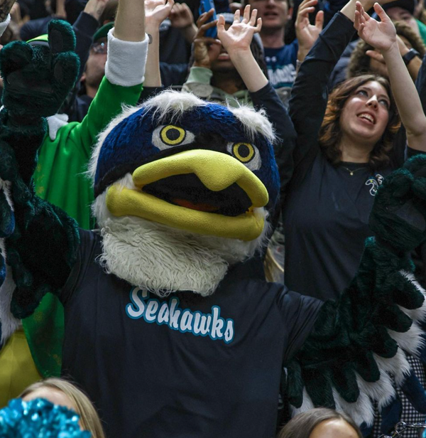 UNCW Basketball: Seahawks In Black Adult T-Shirt