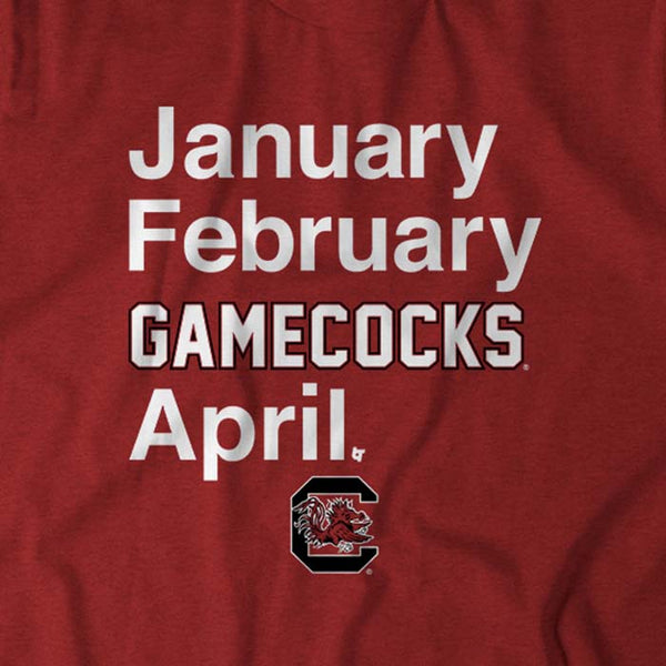 South Carolina Basketball: January February Gamecocks April