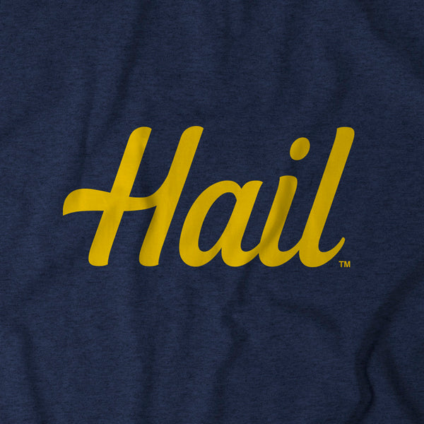 Michigan: Hail Adult T-Shirt