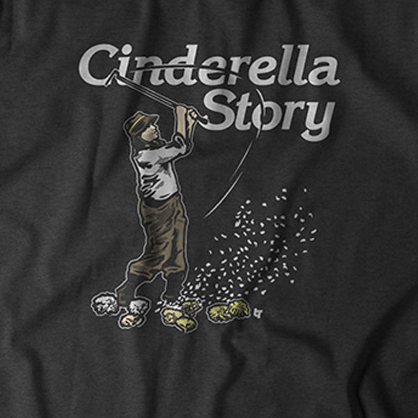 Cinderella Story