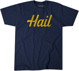 Michigan: Hail Adult T-Shirt