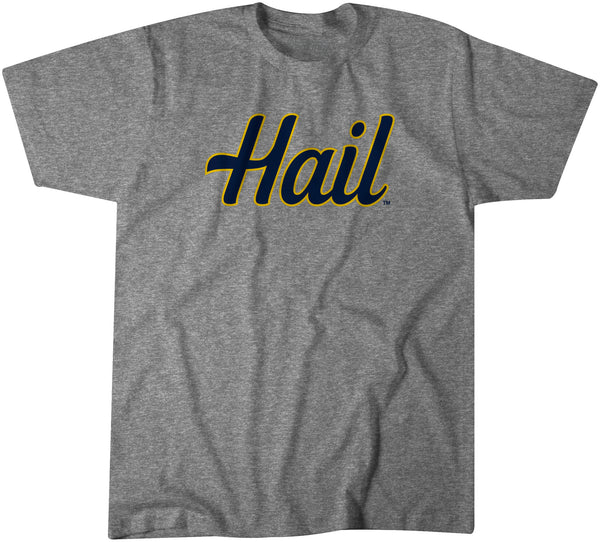 Michigan: Hail Adult T-Shirt