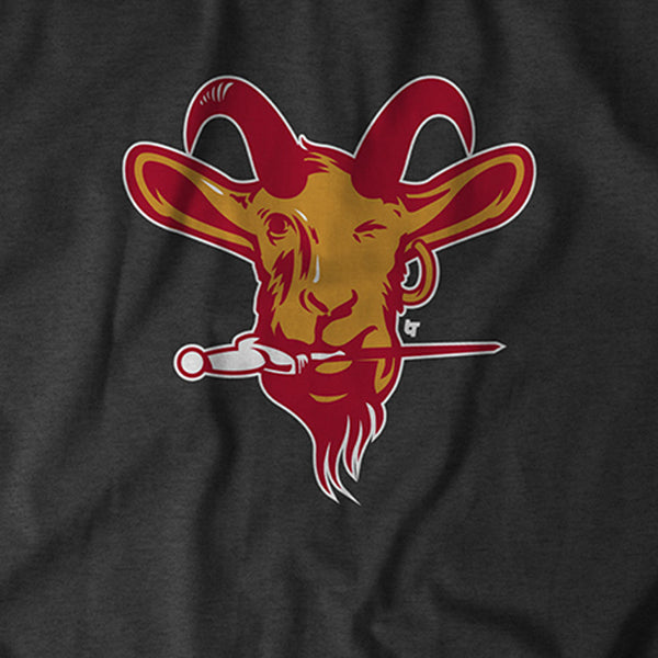 Tampa GOAT T-Shirt | Tampa Bay Pro Football